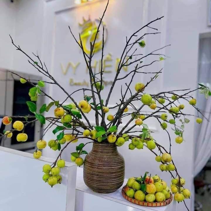 Nơi Bán Bình Cắm Hoa Gía Rẻ Uy Tín Tại Tphcm Gốm Sứ Fulo