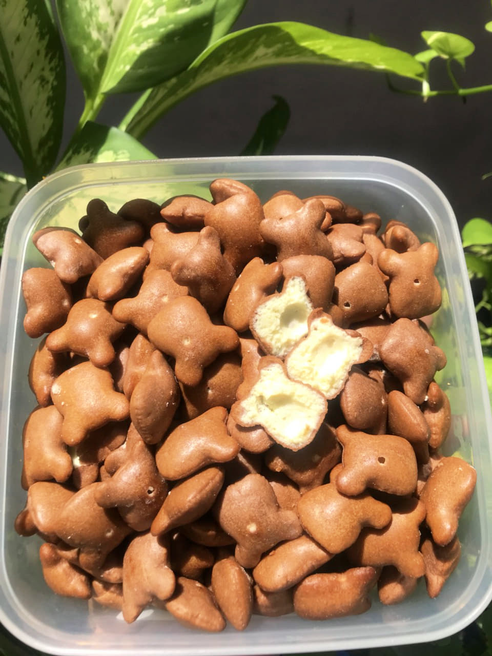 Bánh Gấu Kem Socola - Siêu Ngon 250G
