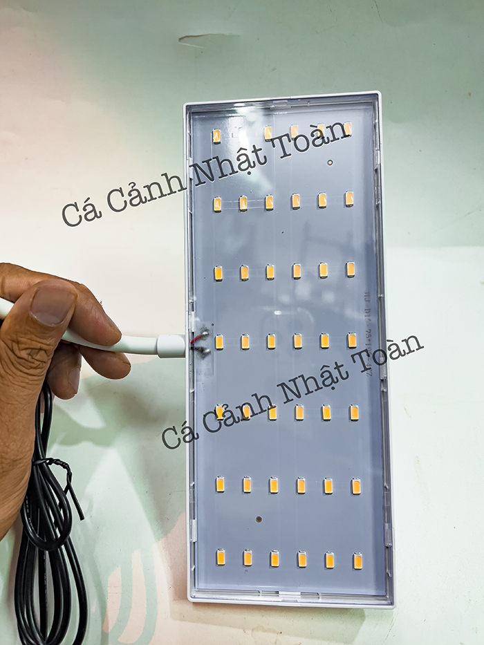 JENECA D16 ĐÈN LED KẸP MINI BỂ CÁ ĐỔI MÀU CÁ KHÔNG ĐỔI MÀU NƯỚC