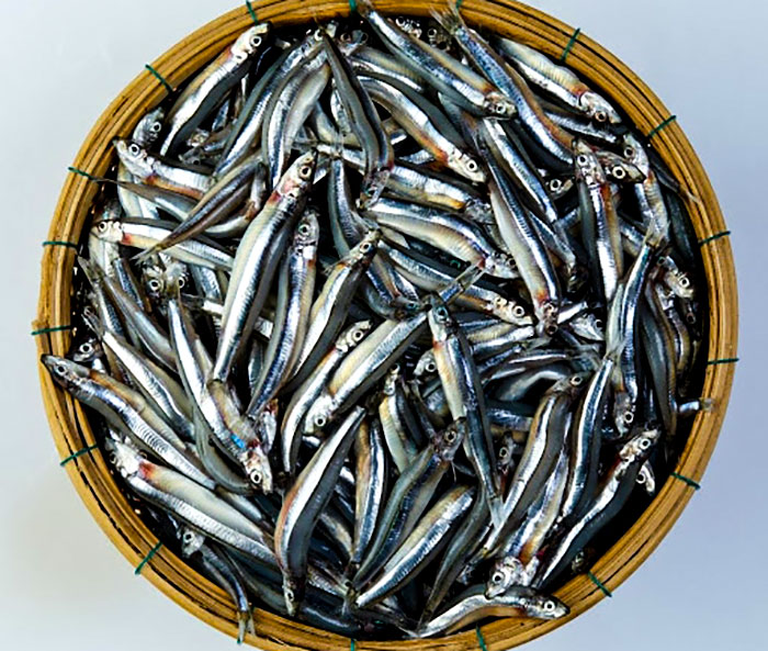 [HCM] 1 kg Khô Cá Cơm Loại Ngon (cá không đầu) - Đồ ăn vặt - Tết