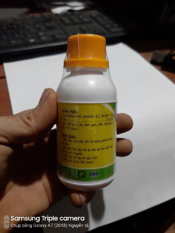 Chế phẩm vitamin b12- Giải độc cho cây chai 100ml