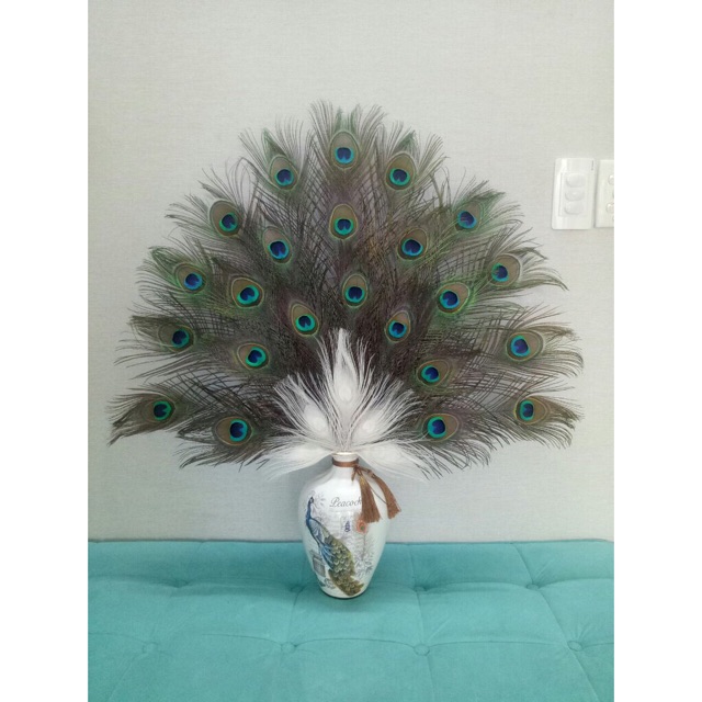 Lông Công Phong Thủy 25cm