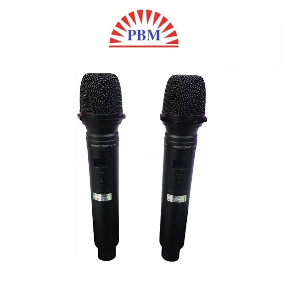 Micro không dây MUSICWAVE HS-1600i