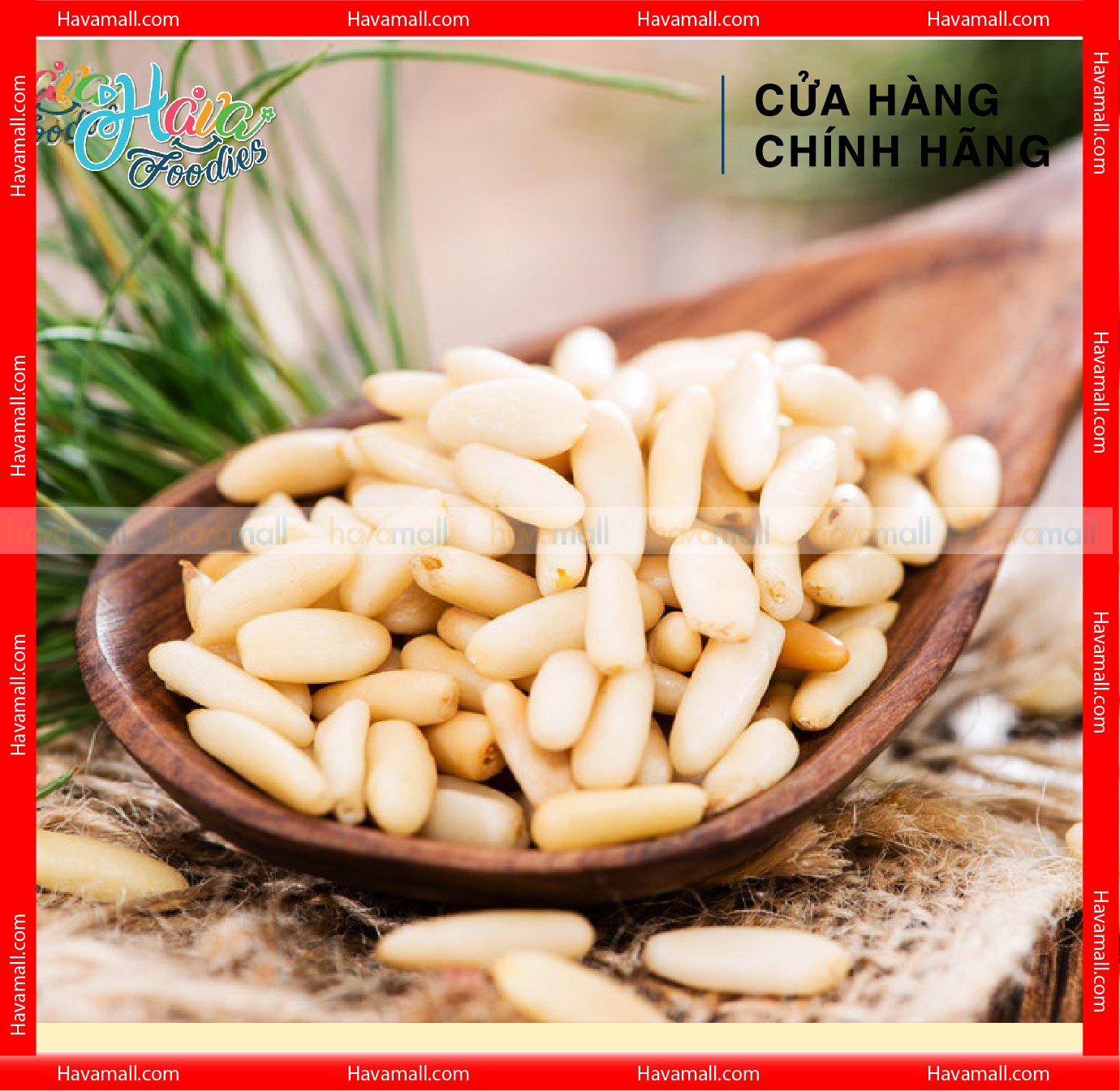 Hạt Thông Tách Vỏ Havafood  – Peeled Pine Nuts
