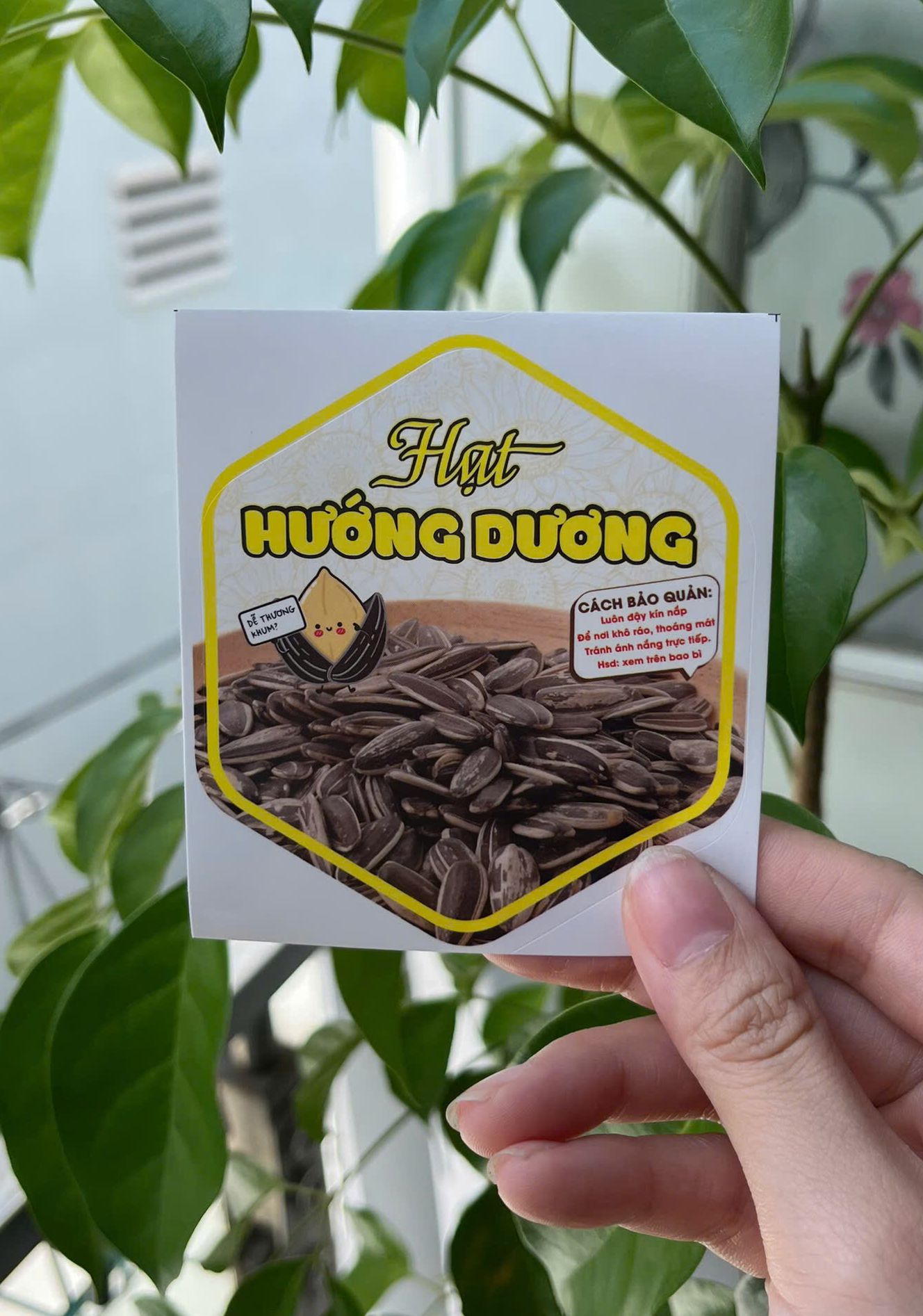 55 TEM LỤC GIÁC 7X8CM - HẠT HƯỚNG DƯƠNG