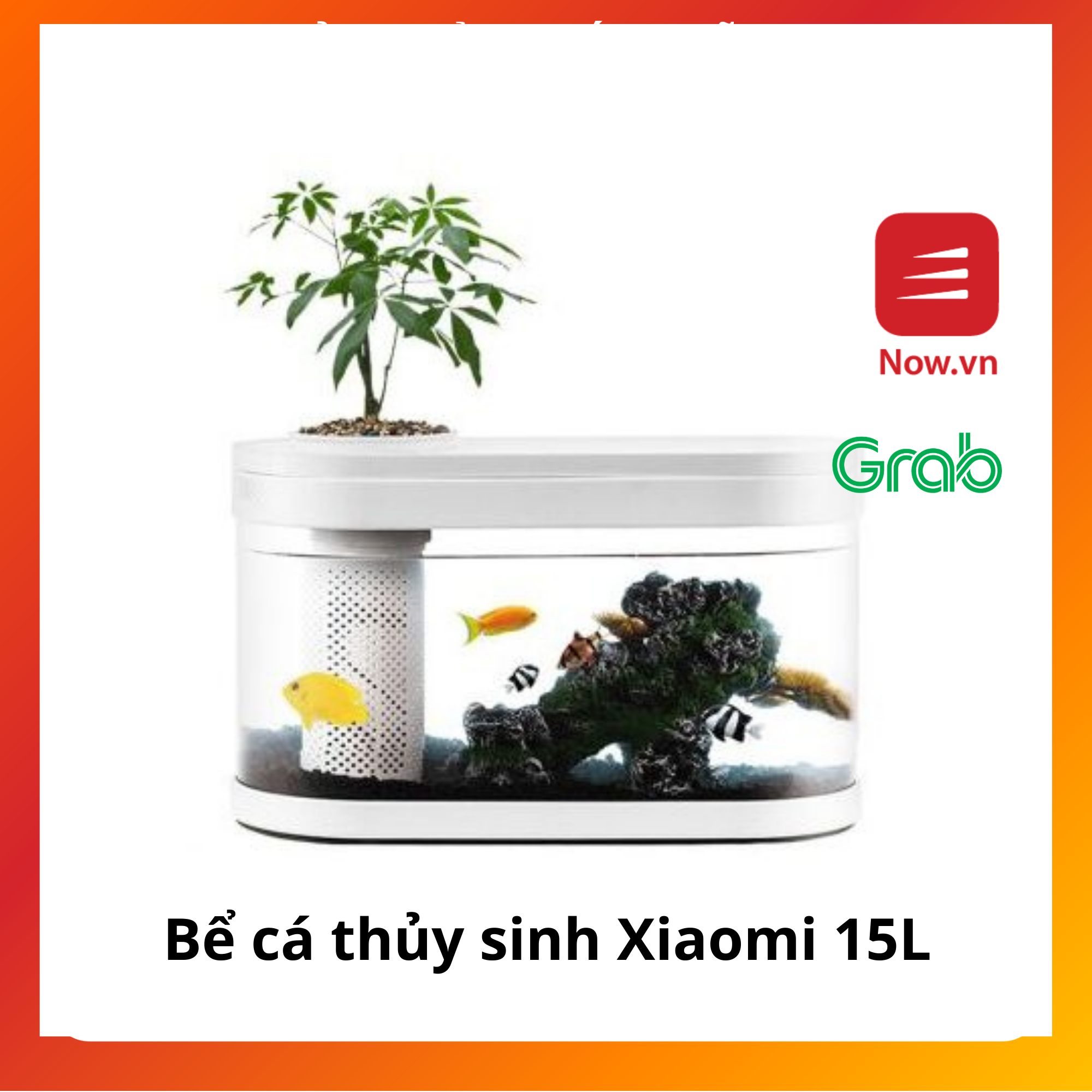 Bể cá thủy sinh Xiaomi