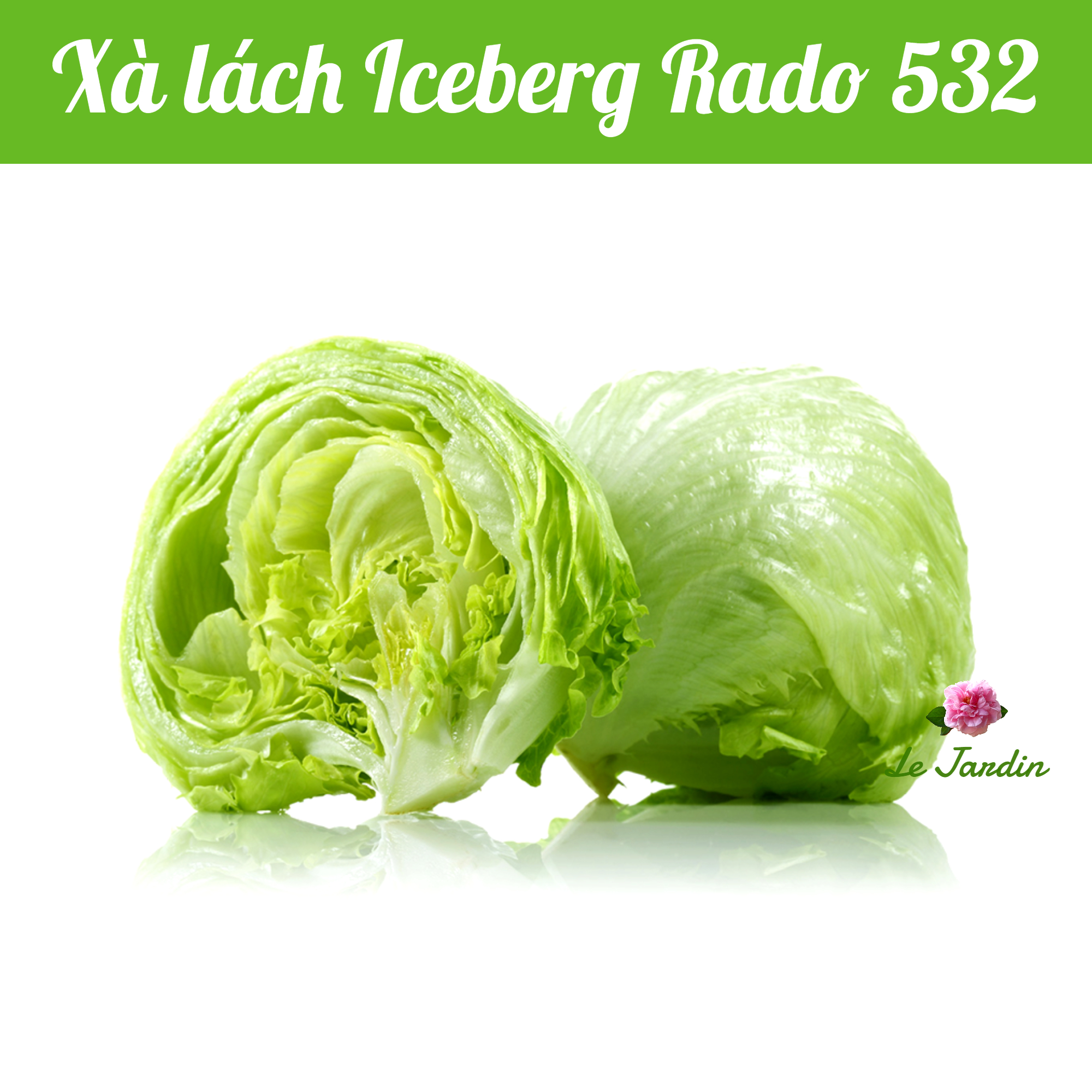 Iceberg Lettuce Seed 2gr package