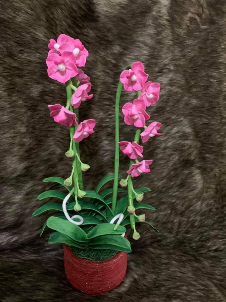 Chậu hoa Lan Vanda đất sét hoa size nhỏ cành cao