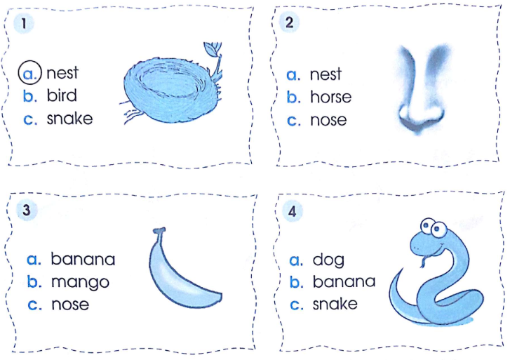 Phiếu bài tập cuối tuần môn Tiếng Anh lớp 2