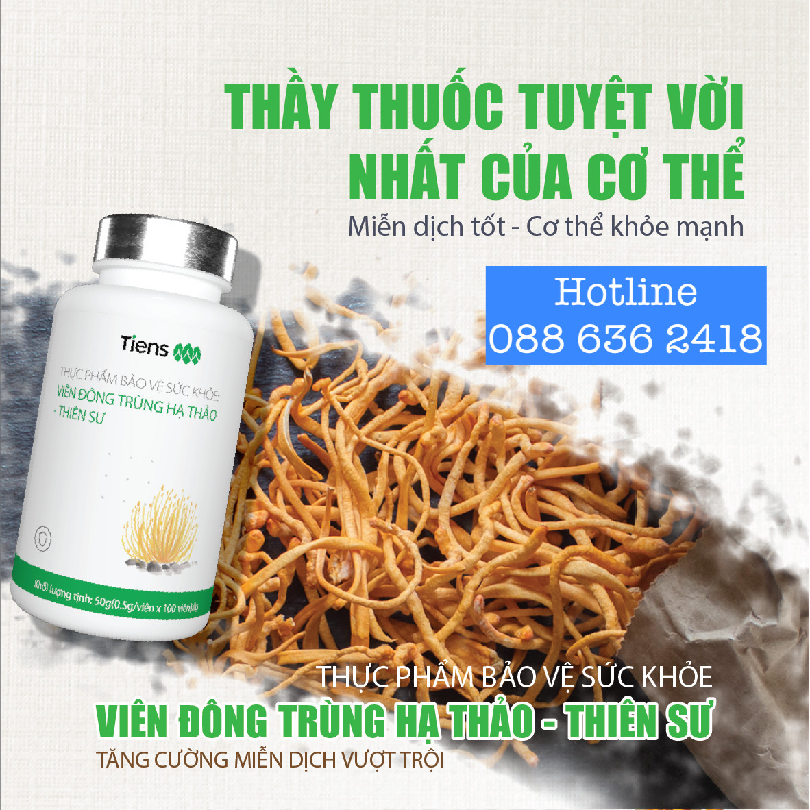 Viên đông trùng hạ thảo Thiên Sư