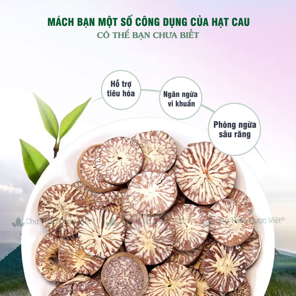 Dried Areca Nuts 100g, Whole, Clean, Beautiful, Reduces Toothache and Tooth Decay - Viet Herbal Market