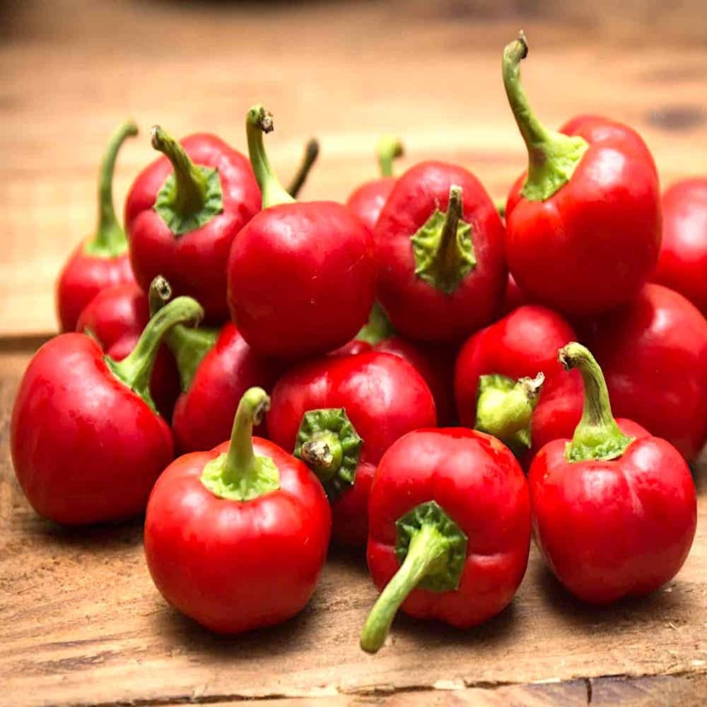 Hạt giống Ớt Bí Ngô Cherry F1