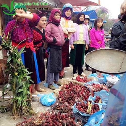 [HCM]Nấm ngọc cẩu - núi rừng yên bái (gói 500g)