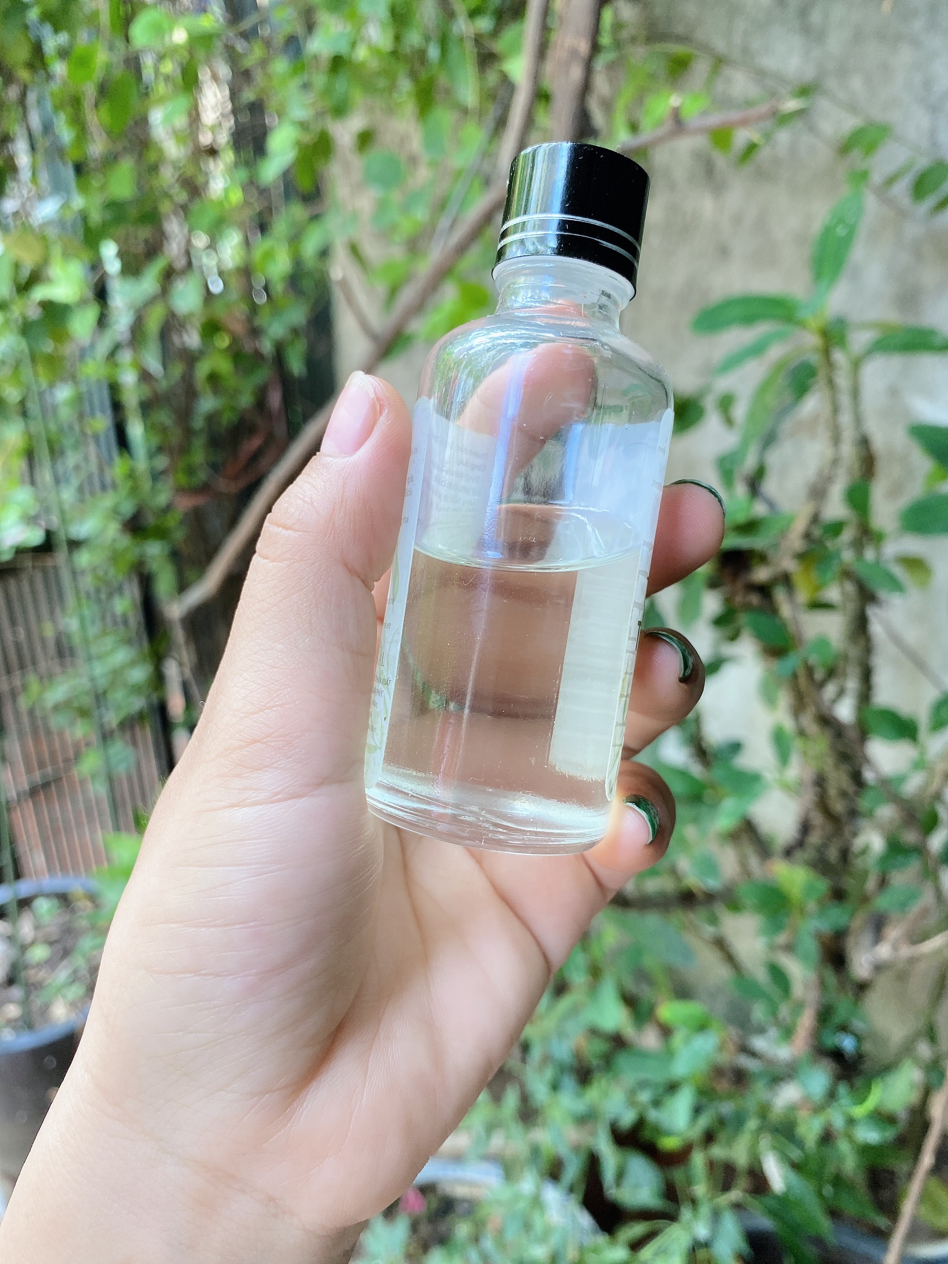 Tinh dầu tràm Huế - Sam Natural