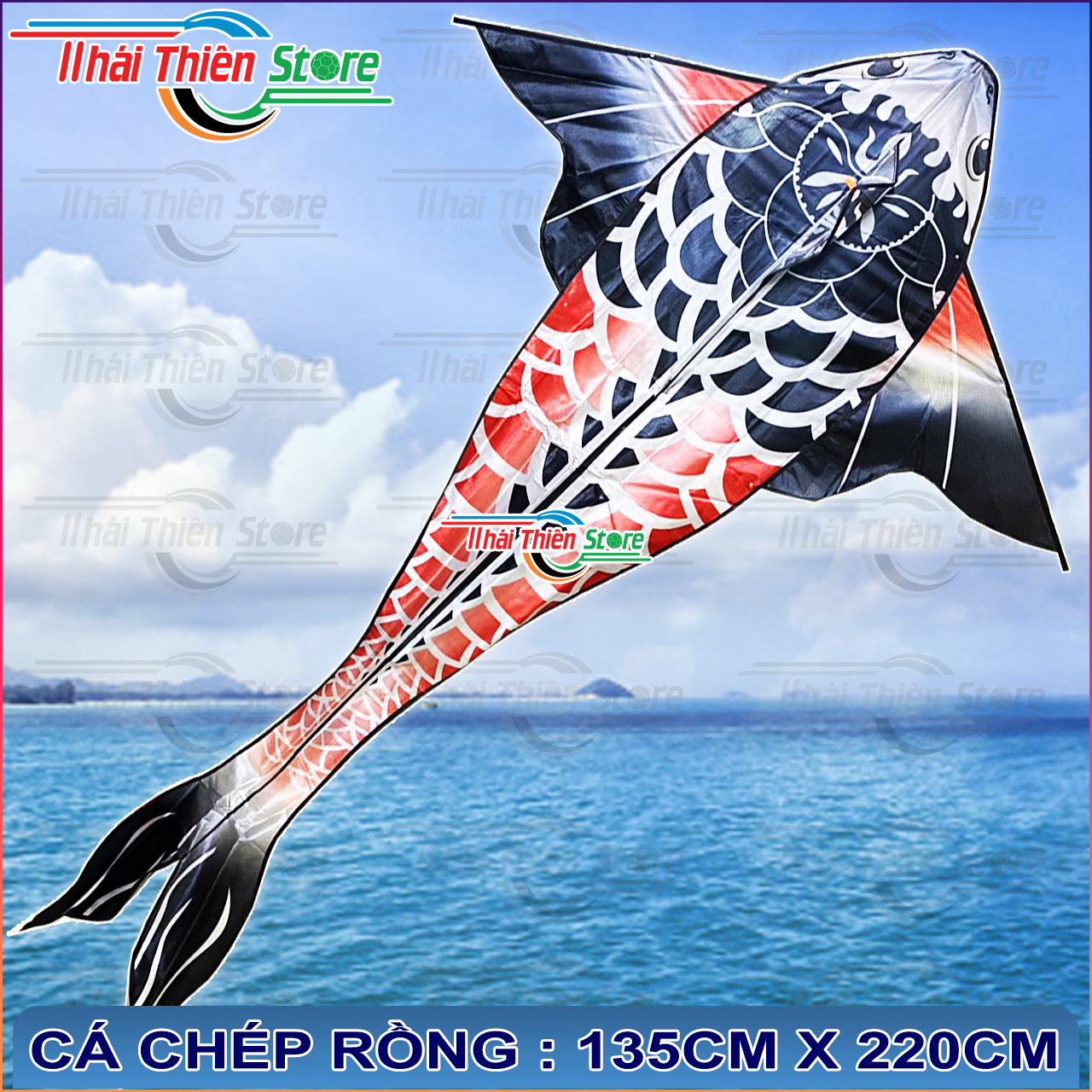 Diều Cá Koi, Chép Rồng Nhiều Màu