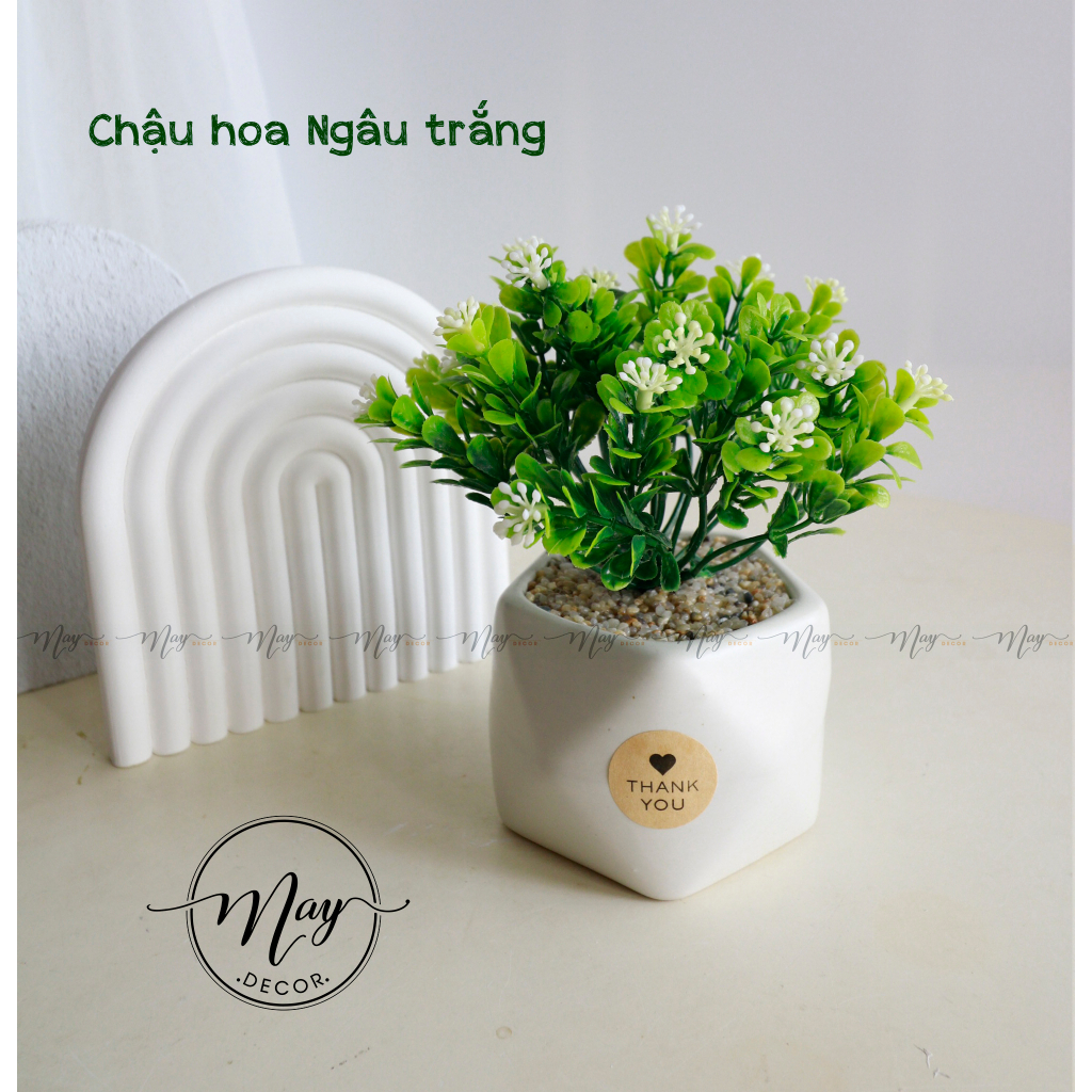 Hoa giả, Chậu hoa Ngâu để bàn trang trí