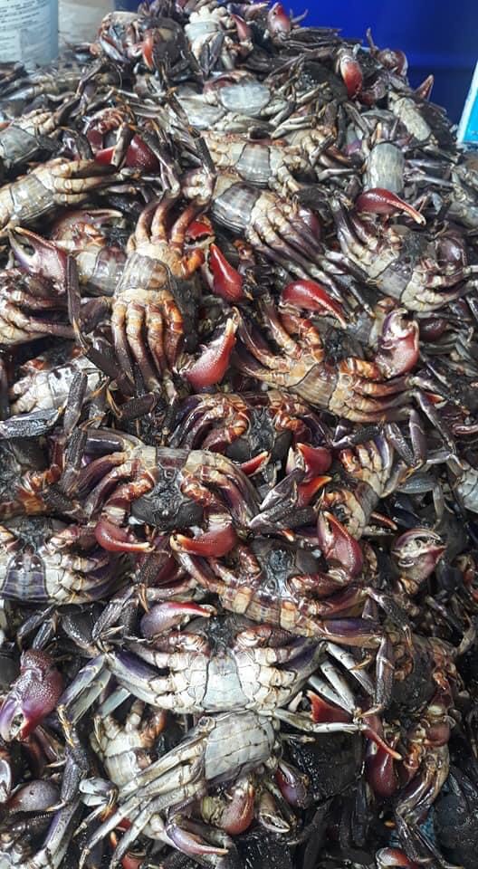 Ba khía muối nguyên con Cà Mau