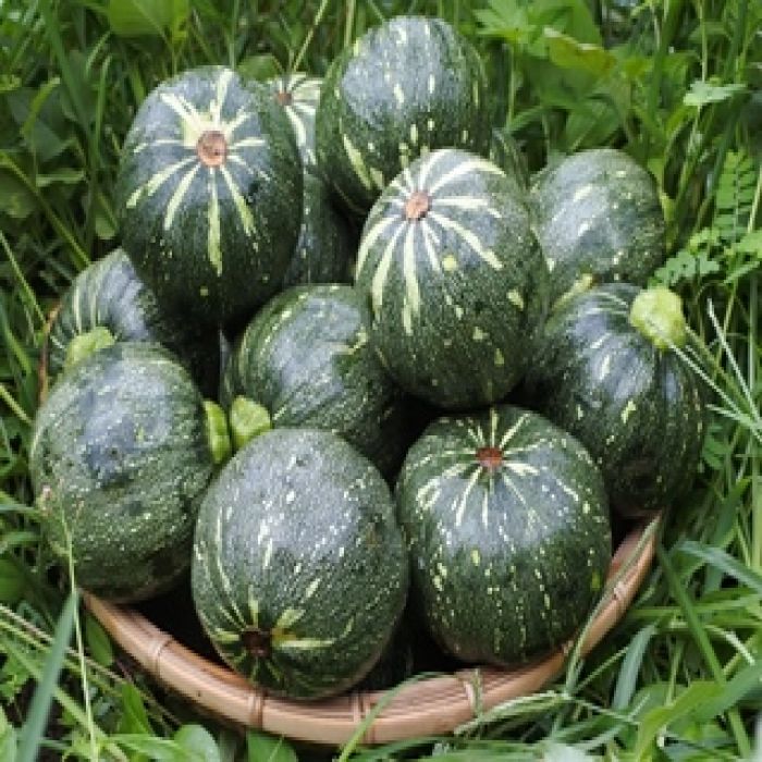 Bí Nhật Non Đà Lạt – Lâm Đồng ( 500g/ 1KG )