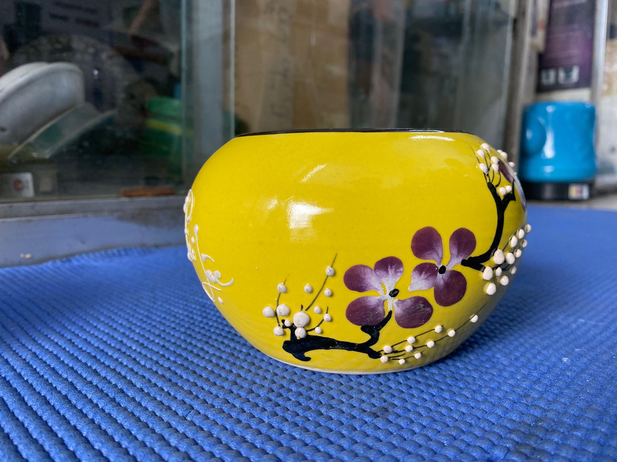 [HCM]Chậu hoa mini tài lộc