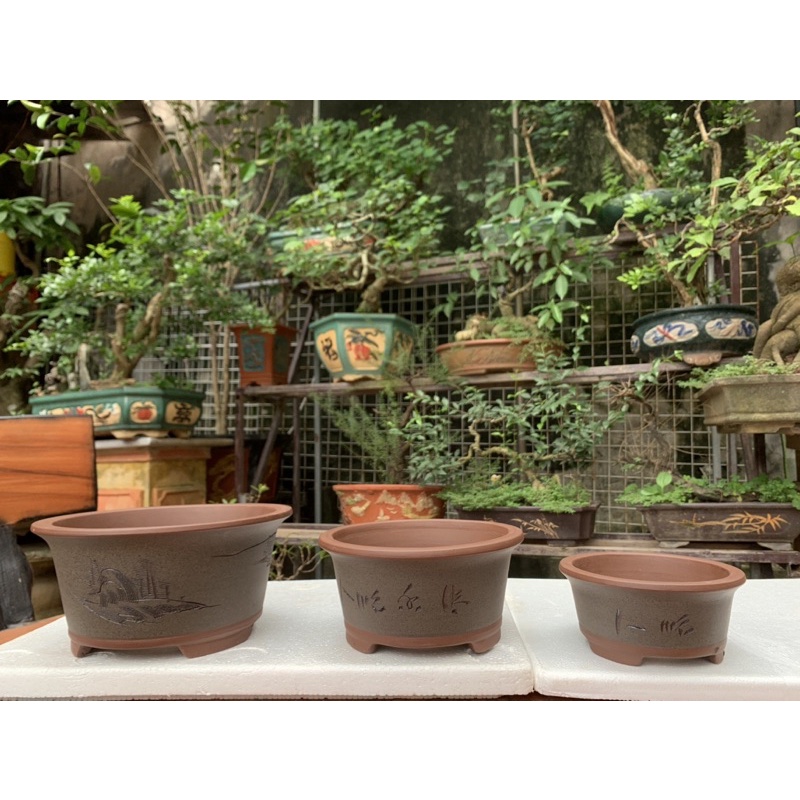 Chậu gốm tàu-chậu cảnh bonsai