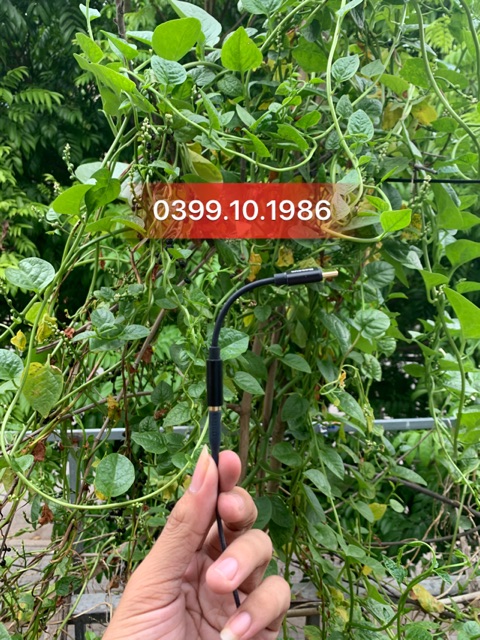 Jack chuyển Type C sang 3.5  Baseus