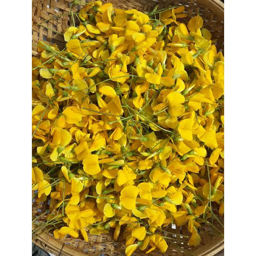 Hạt Giống Hoa Điên Điển (Sesbania sesban) 1Gram