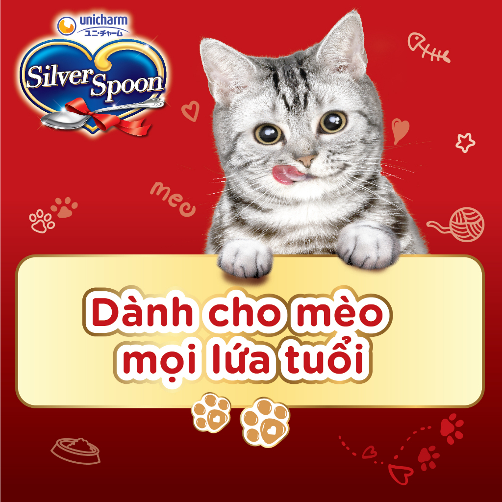 Hạt dùng thử cho mèo Silver Spoon 40g
