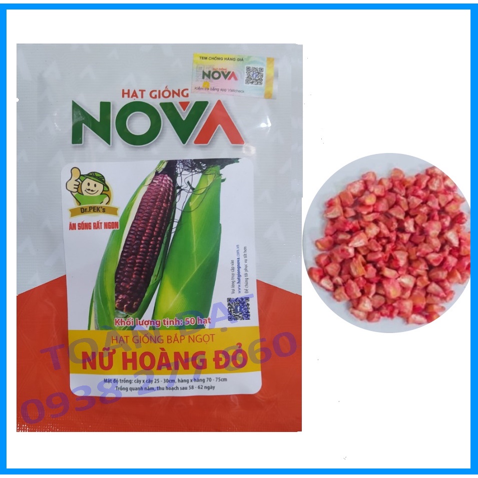 Hạt Giống Bắp Ngọt Nữ Hoàng Đỏ , bắp tím nova nữ hoàng đỏ, hạt giống ngô tím