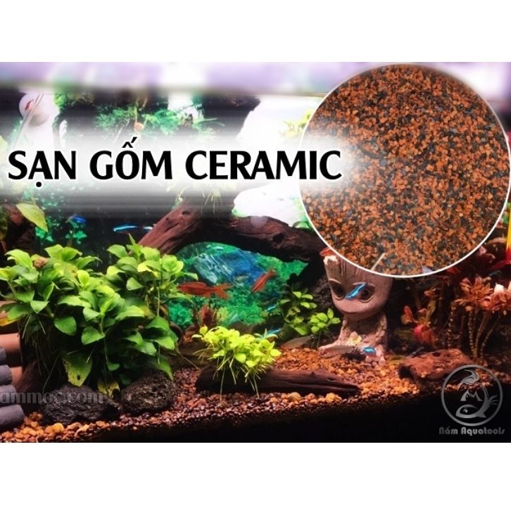 Sạn gốm ceramic thuỷ mộc | nền trơ chuyên dụng cho hồ ươm bucep, nana... trang trí bể cá cảnh, thuỷ sinh