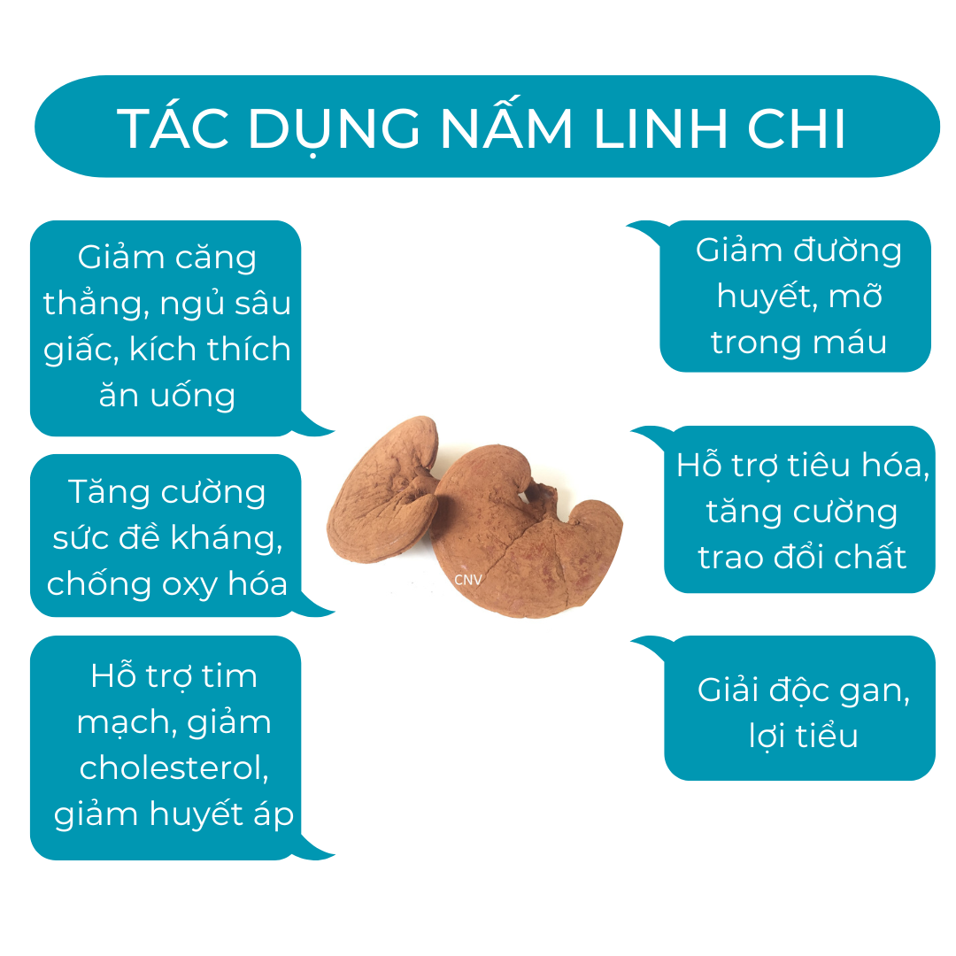 Nấm linh chi đỏ cao cấp CNV 250g (Xích chi Việt Nam)