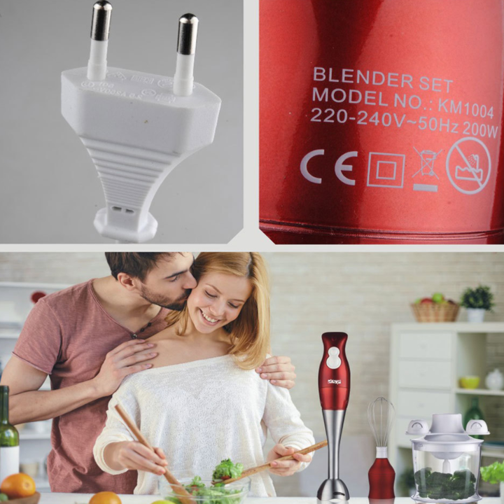 Máy xay sinh tố cầm tay 4 trong 1  nhãn hiệu DSP KM1004, công suất 200W tích hợp cả xay thực phẩm và rau quả