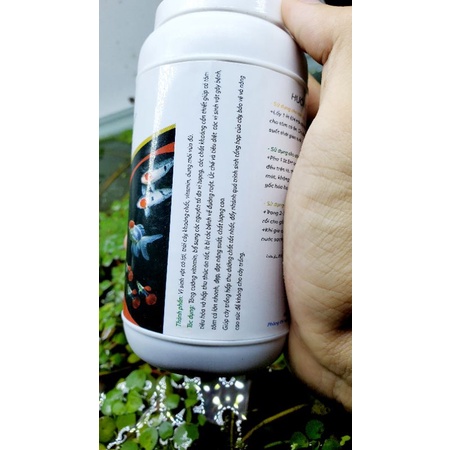 Vi sinh cá cảnh E.M Trái Cây 500ml