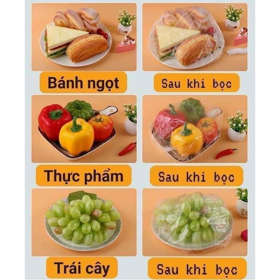 Set 100 màng bọc thực phẩm gấu trúc