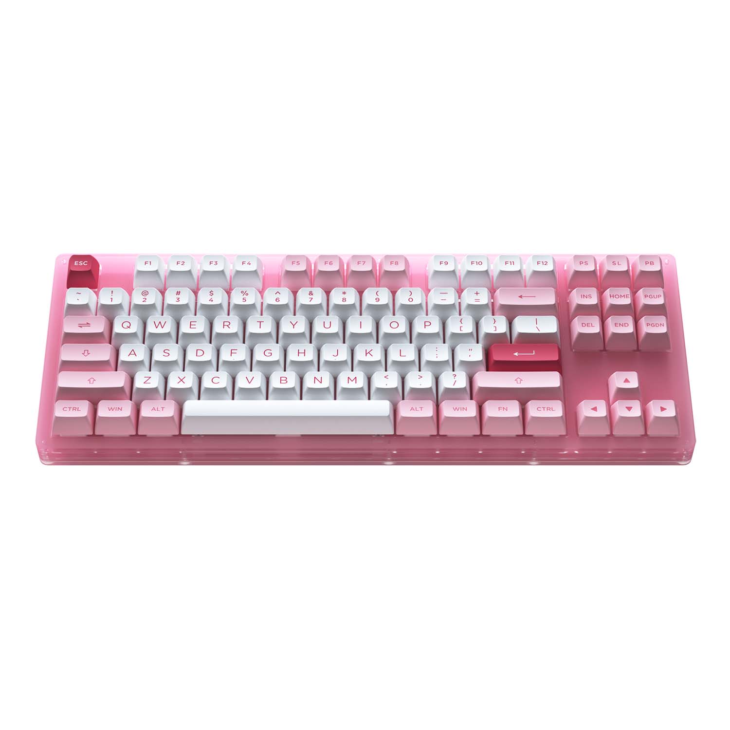 Bàn phím cơ AKKO ACR87 Pink (Hotswap / RGB / AKKO CS sw Jelly Pink)