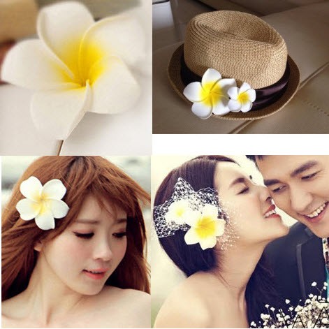 [GIÁ SỈ] KẸP TÓC HOA ĐẠI - KẸP TÓC HOA SỨ