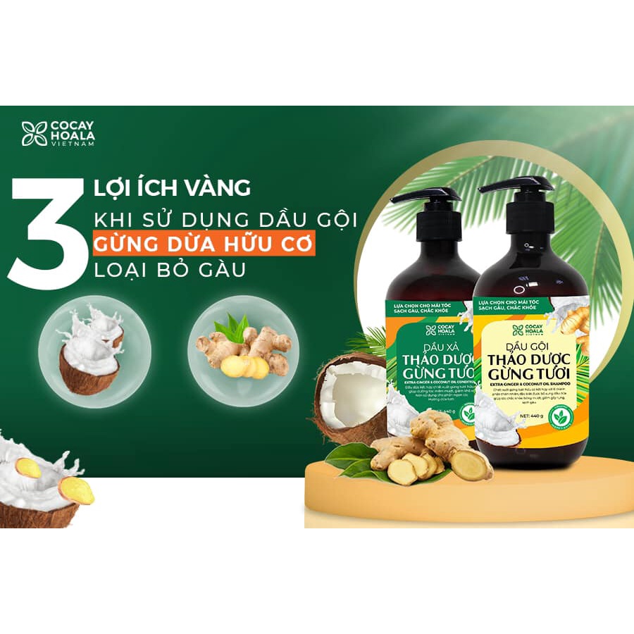 Dầu gội -  xả thảo dược Gừng Dừa