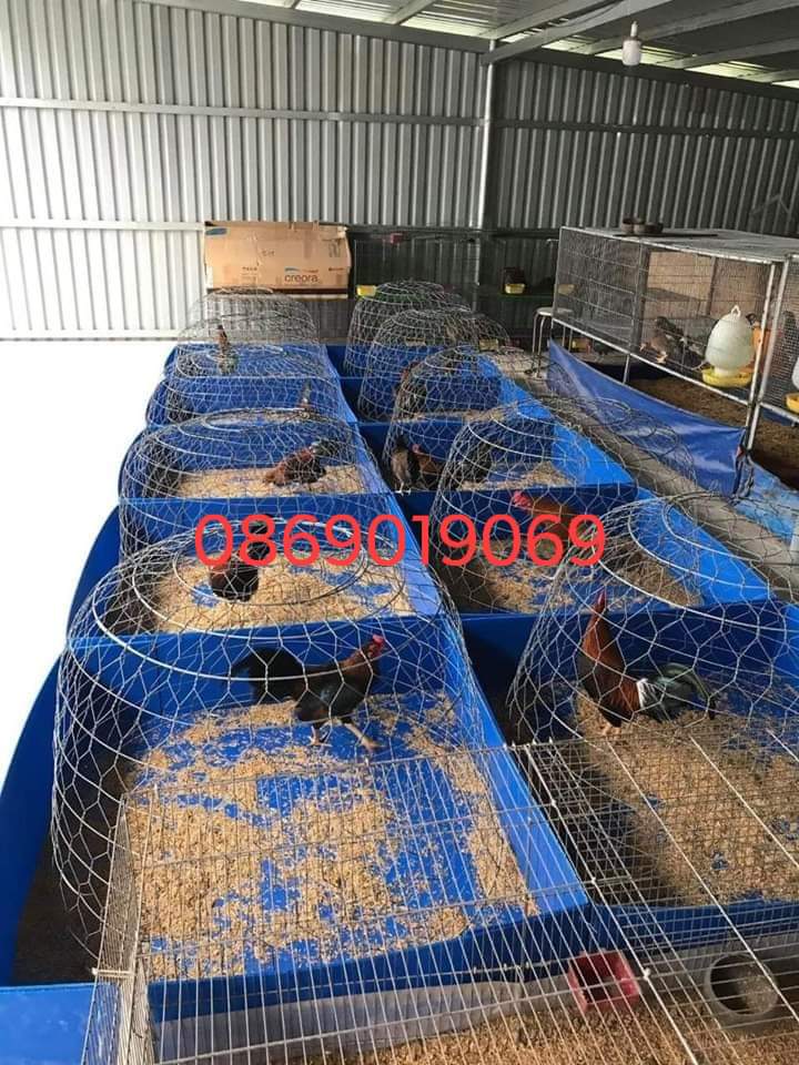 KHAY NHỰA 1MV (hàng miền nam)