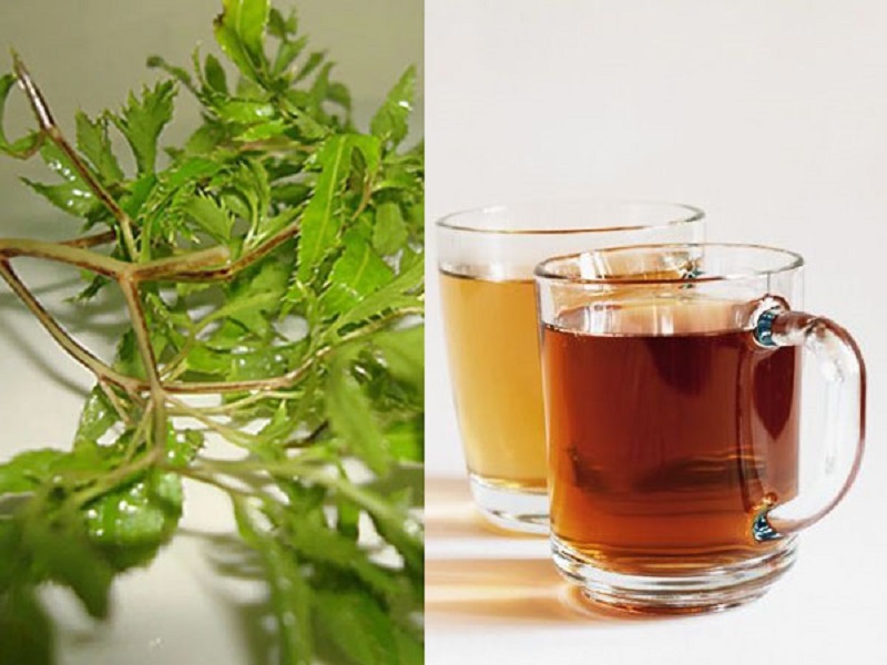 Lá Đinh Lăng Sấy Khô Loại 1kg