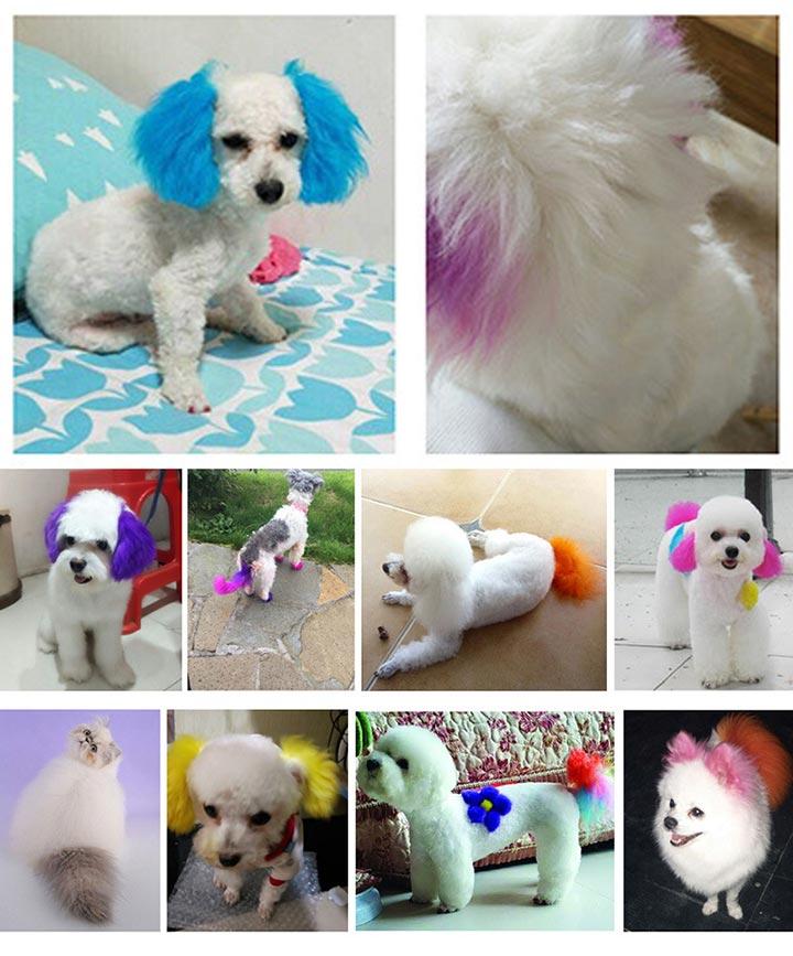 [HOÀN TIỀN 10%]Nhuộm lông cho chó mèo Brooklyn 80g - CutePets