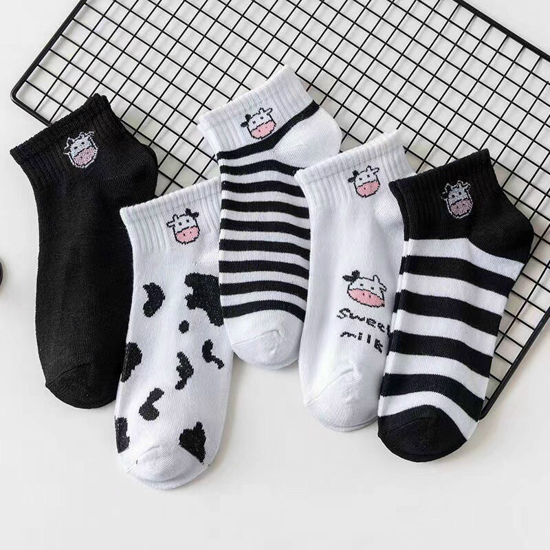 Set 5 đôi tất len Hàn Quốc (Nhiều mẫu)