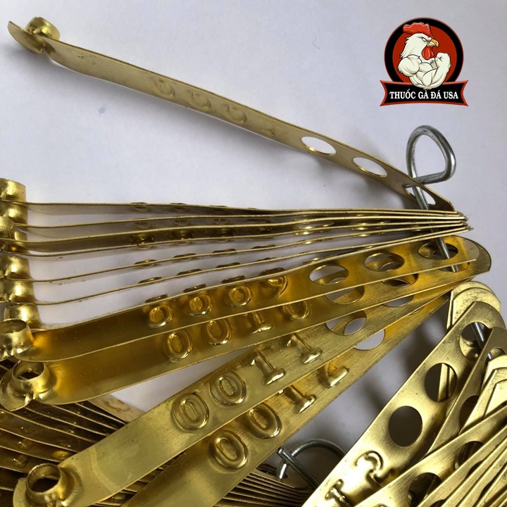 [HCM]Combo 50 Cái Chì Bấm Chân Đánh Dấu Bổn Bang