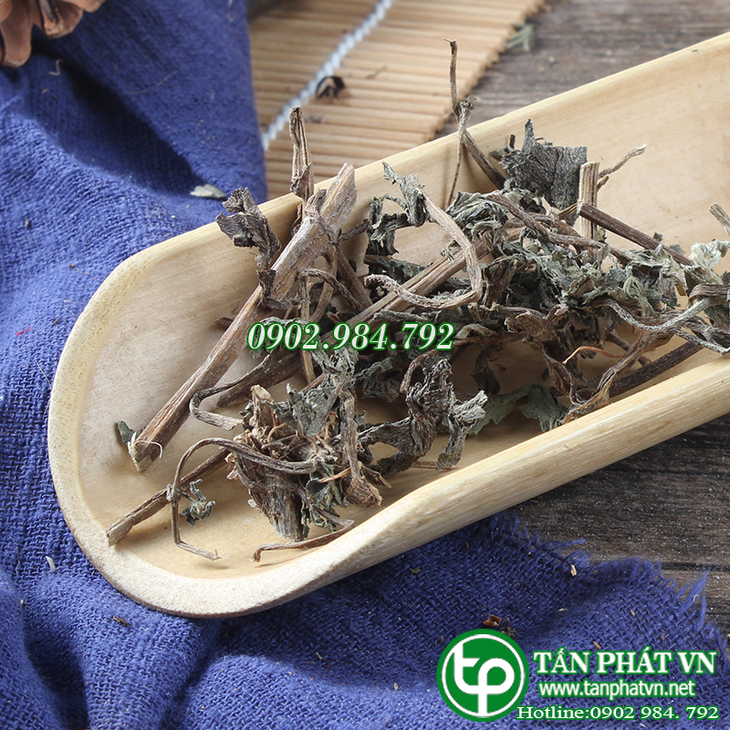 Cỏ Mực Sấy Khô 500g - TD Tấn Phát