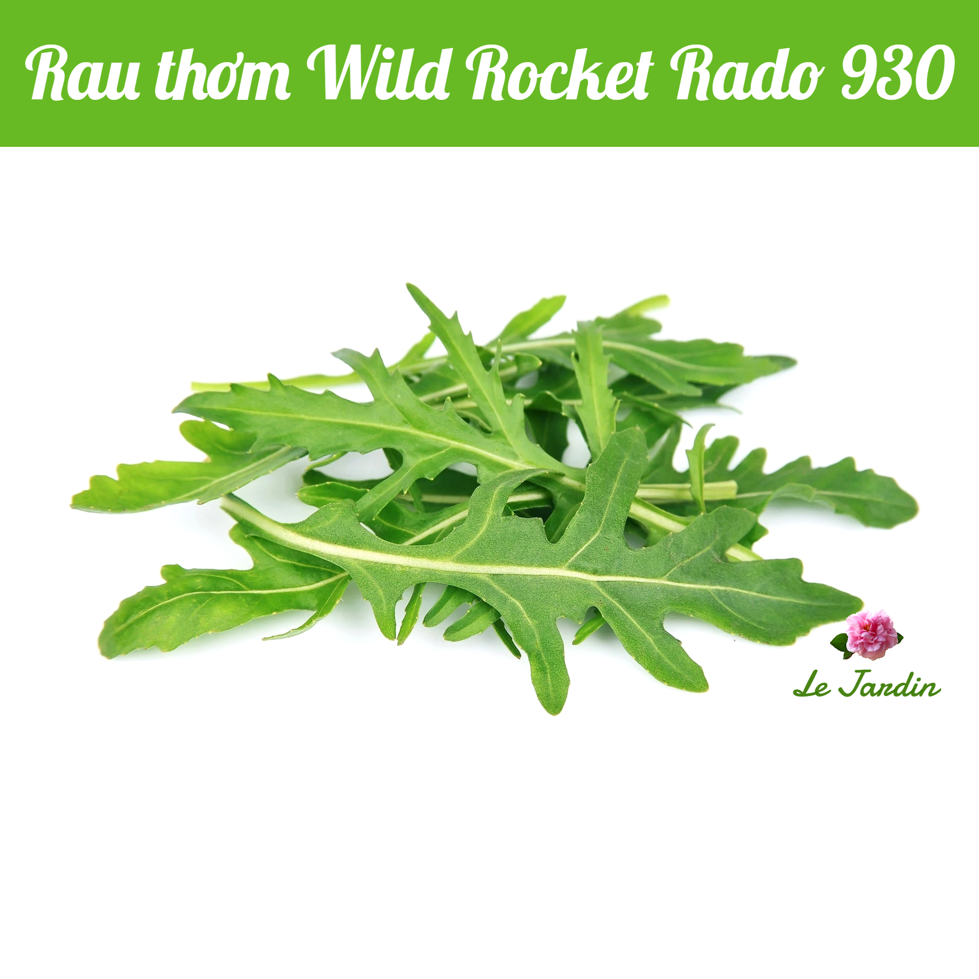 Rocket Lettuce Seeds 1gr package