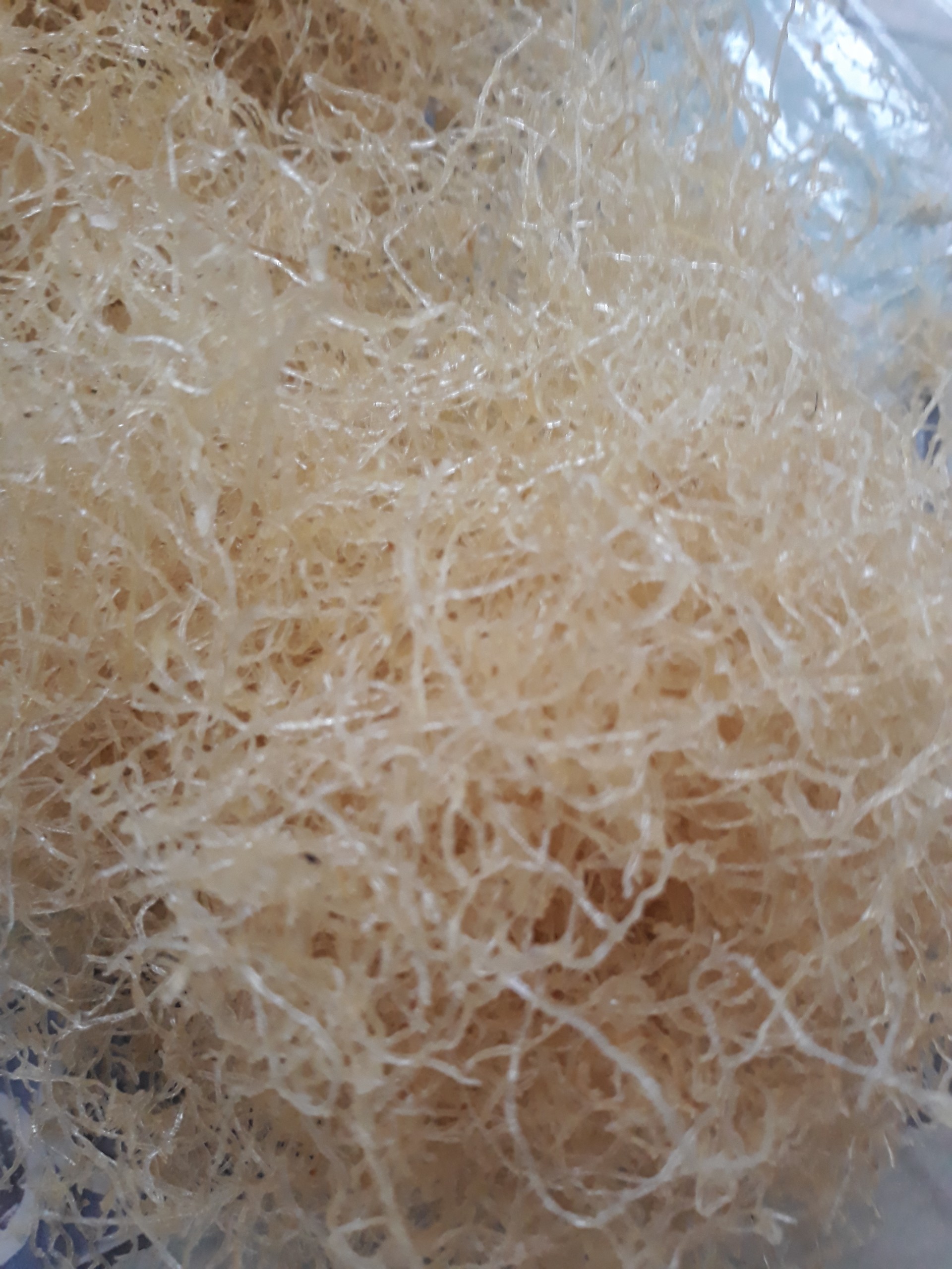 [HCM]BÌ CƠM TẤM SẤY KHÔ 0,5KG