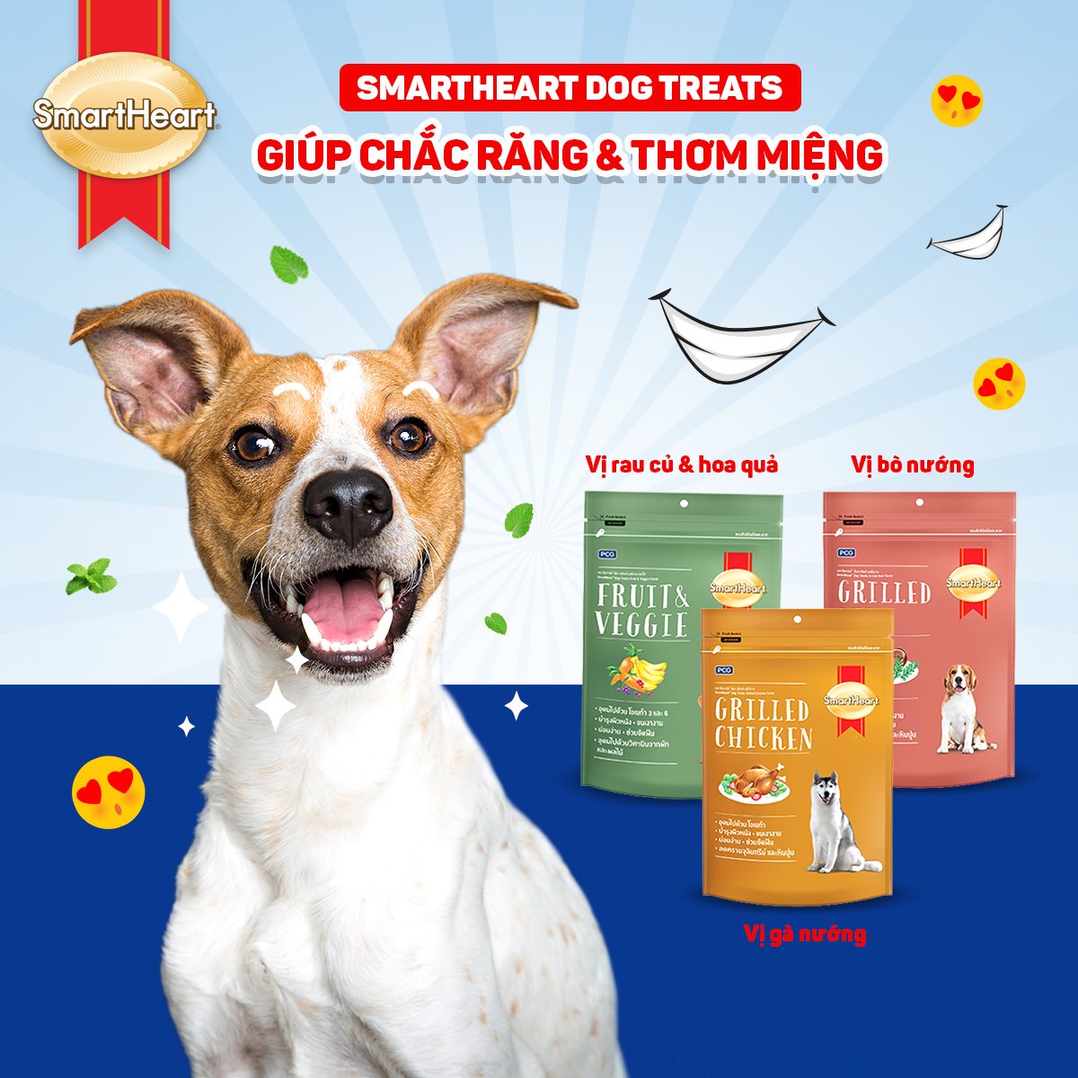 Bánh Thưởng Cho Chó Mọi Lứa Tuổi SmartHeart 100g