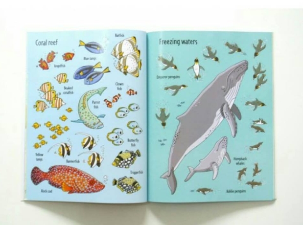 Usborne Sticker Book - Under the sea