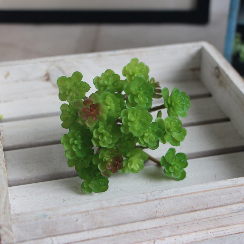 Cụm Hoa Sen Đá - Hoa sen đá giả nhiều cánh