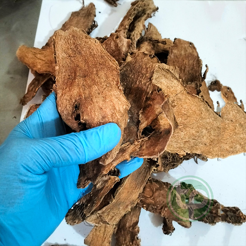 [Hàng mới về] Mướp gai khô 500g - Dược Tấn Phát