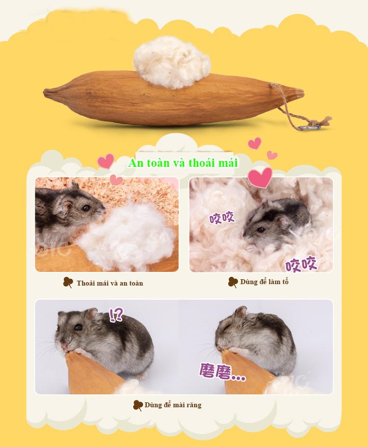 Nệm Gòn Cho Hamster