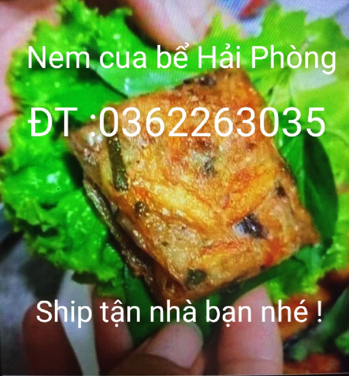 Nem cua bể Hải phòng